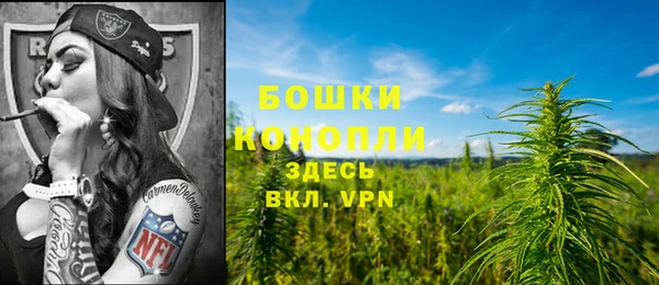 дмт Покачи