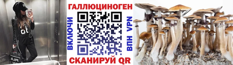 Псилоцибиновые грибы Magic Shrooms  omg как зайти  Пугачёв 